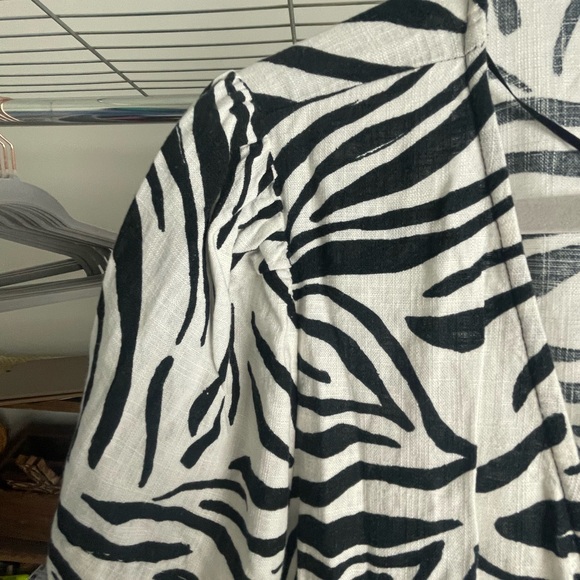 Zara Black and White Zebra Print Mini Dress - Picture 4 of 4
